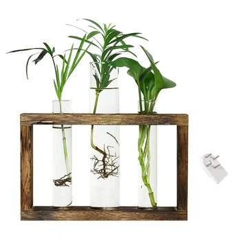 Станция за Размножаване на растения, Стенни Терариуми За растенията Маса Стъклена Дървена Поставка с 3 Тръби за Разплод