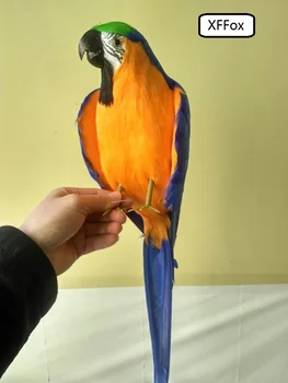 голяма истинският живот синьо и оранжево папагал модел пяна и перо моделиране малки крила папагал птица подарък от около 45 см xf0173
